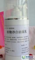 植物凈白潔面乳 【誠招代理、批發、加盟】[供應]_皮膚用化學品_世界工廠網中國產品信息庫