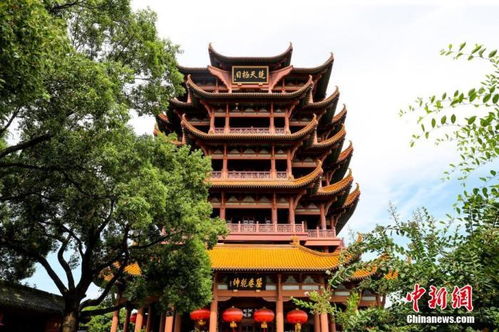 減稅降費 為中國國內旅游市場注入新活力