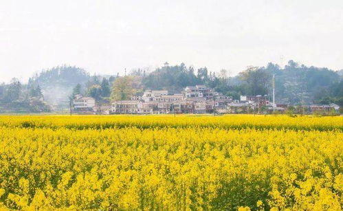 國內四大旅行寶藏省份，你都去過哪兒